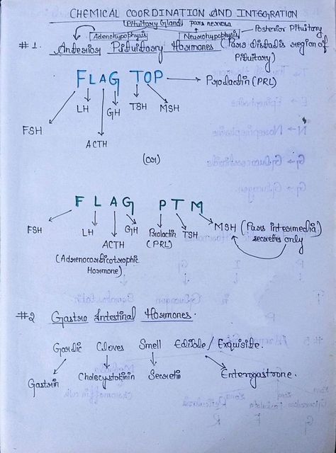 Ncert Notes For Neet, Neet Ncert Highlights, Chemical Control And Coordination Notes, Chemical Coordination Notes, Breathing And Exchange Of Gases Notes For Neet, Mnemonics For Biology Neet, Chemical Coordination And Integration Notes, Biology Neet Tricks, Digestion And Absorption Neet Notes