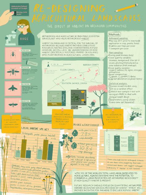 My advice for creating an academic poster – Ecology for Life Scientific Poster Design, Academic Poster, Conference Poster, Scientific Poster, Infographic Layout, Infographic Inspiration, Research Poster, Poster Design Layout, Infographic Design Layout