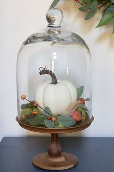 Fall Cloche Ideas, Glass Cloches, Cloche Decor, Creative Pumpkin Decorating, Decoration Shabby, Tafel Decor, Creative Pumpkins, Faux Pumpkins, Fall Thanksgiving Decor