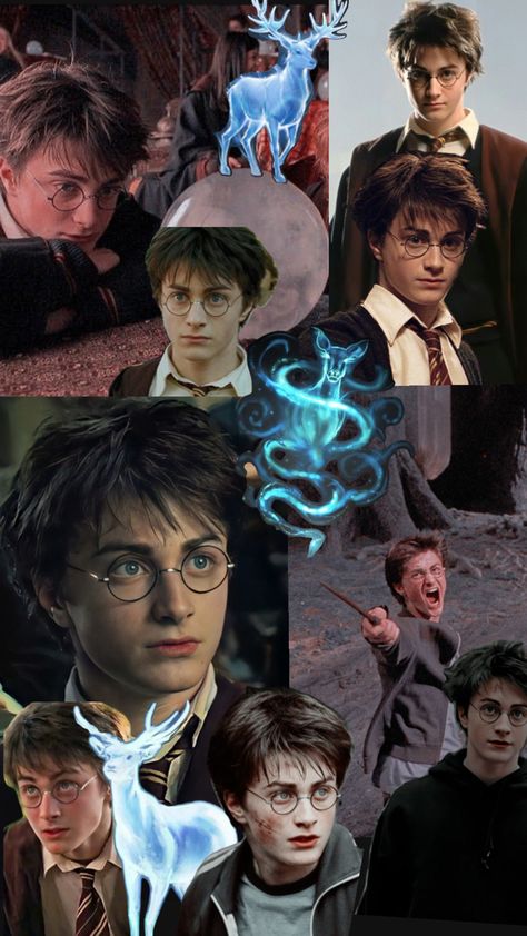 This is my Harry Potter collage. It is my first ever post, enjoy! 😊 Harry Potter Collage, 80s Pop Culture, Harry Potter Tumblr, Harry James, Harry James Potter, Harry Potter Theme, Harry Potter Film, Harry Potter Wallpaper, Harry Potter Aesthetic