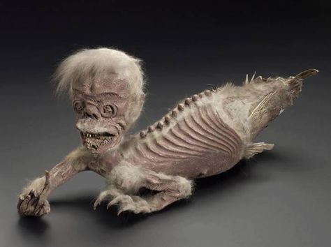 Fiji Mermaid, Mermaids Exist, Halloween Tour, Real Life Mermaids, Animal Taxidermy, Creepy Ghost, Wellcome Collection, Real Mermaids, London Museums