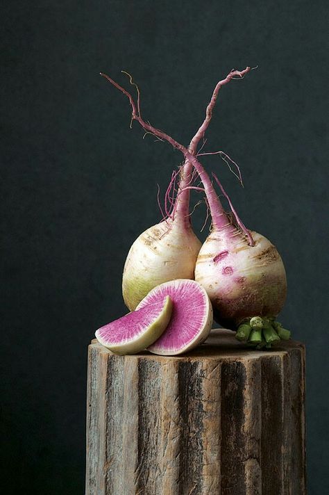 Vegetables Photography, Watermelon Radish, Mother Earth News, Food Art Photography, Still Life Fruit, Fruit Photography, Fruit Painting, Foto Art, Fruit Art