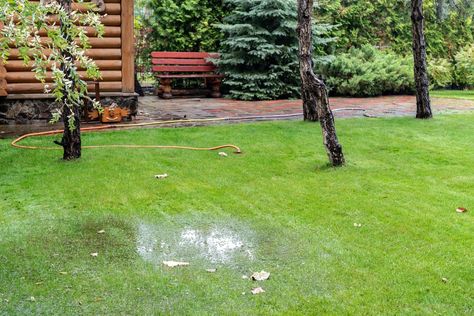 12 Ways to Fix a Soggy Yard Soggy Yard, Yard Drainage, Pool Water Features, Drainage Solutions, French Drain, Bob Vila, Septic System, Rain Water Collection, Backyard Inspo