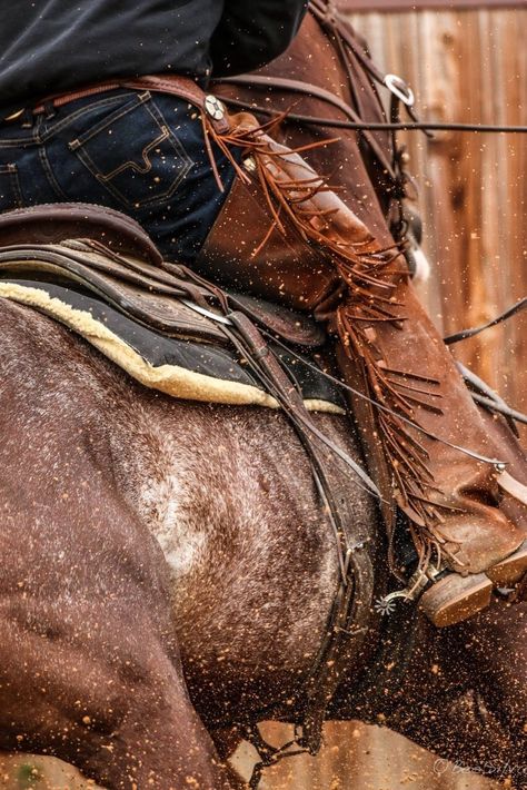 A Western Dream Western Aesthetic Wallpaper, Cowboy Photography, Western Photo, Cowboy Aesthetic, Western Photography, Real Cowboys, Western Wall Art, Rodeo Life, Western Life