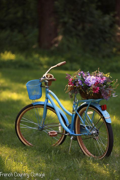 Low Maintenance Beauty, Pretty Bicycle, Bicycle With Flowers, Bike Planter, Bicycle Pictures, Window Box Plants, Motos Vintage, Colorful Arrangements, Bicycle Decor