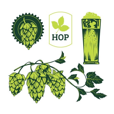 Beer Tap Illustration, Beer Hops Illustration, Beer Doodle, Plant Sketch, Hops Plant, Beer Ingredients, Hop Flower, Beer Illustration, Beer Hops