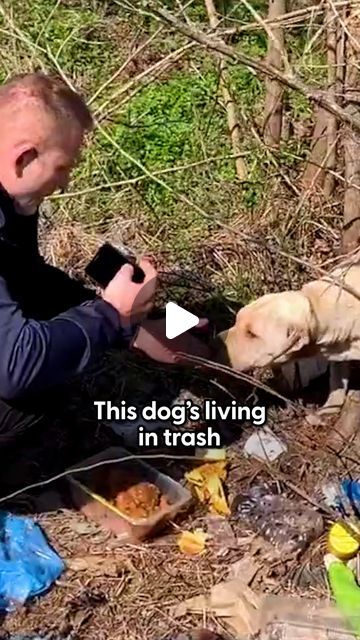 The Dodo on Instagram: "Mama dog who was raising her puppies in garbage thanks their rescuer with the sweetest kisses 💗  Head to @dog_rescue_shelter_serbia to learn about more adoptable dogs!" Sweet Kisses, Adopt A Dog, Dog Rescue, Serbia, Dog Adoption, Animal Rescue, Fur Babies, To Learn, Adoption