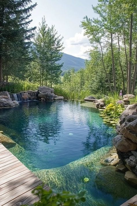 Natural Pool Ideas Swimming Ponds, Natural Pond Swimming Pool, Natural Lake Pool, Natural Swimming Pools Backyard, Bio Pool Natural, Eco Pools Natural Swimming Ponds, Organic Pool Design, Diy Natural Pool, Natural Looking Pools