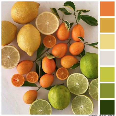 Lemon Lime Color Palette, Citrus Mood Board, Italian Color Scheme, Citrus Color Scheme, Citrus Colour Palette, Citrus Wedding Palette, Bridesmaid Color Palette Summer, Citrus Wedding Color Palette, Italian Summer Color Palette