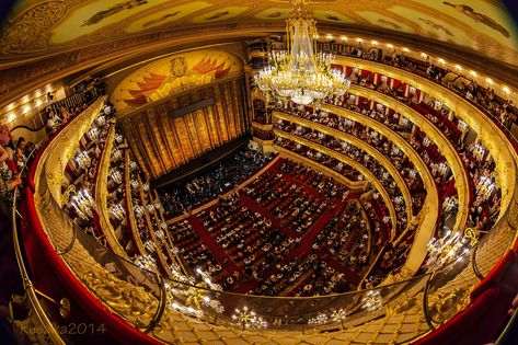 Art Core, Moscow Art, Red Sparrow, Historic Theater, Theatre Interior, Bolshoi Theatre, Ballet Performances, Bolshoi Ballet, Mata Hari