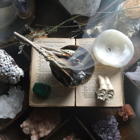 The Witch's Corner is the official website for author and tarot reader, Amythyst Raine. Banishing Spell, Beauty Spells, The Ancient Magus Bride, Yennefer Of Vengerberg, Season Of The Witch, Witch Aesthetic, Witchy Woman, Green Witch, White Sage