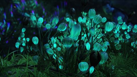 Glowing Plant Project: glowing trees to function as street ... Alien Plants, Plant Projects, Free Desktop Wallpaper, Pandora Avatar, Blue Pictures, Alien Planet, Avatar World, Alien Worlds, Fantasy Landscape