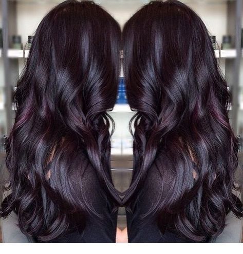 Pelo Color Borgoña, Dark Purple Hair, Plum Hair, Violet Hair, Purple Highlights, Dark Violet, Burgundy Hair, Violet Color, Penteado Cabelo Curto