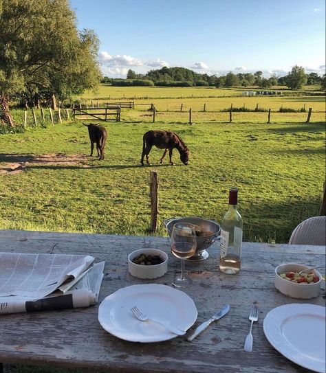 Future Farms, Farm Lifestyle, Country Lifestyle, Ranch Life, English Countryside, Slow Living, Future Life, A Horse, House Inspo