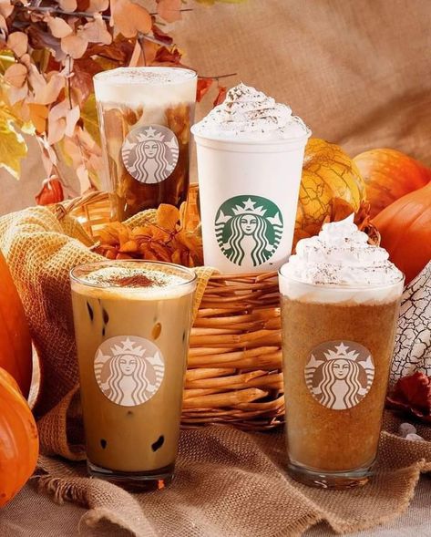 Pumpkin Spice Latte Starbucks, Pumpkin Cream Cold Brew, Latte Aesthetic, Cream Cold Brew, Starbucks Pumpkin Spice Latte, Simple Family Meals, Starbucks Pumpkin Spice, Fall Menu, Starbucks Halloween