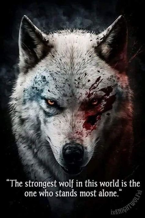 Wolf Pack Quotes, Lone Wolf Quotes, Villain Quote, Wolf Quotes, Man Up Quotes, Savage Quotes, She Wolf, Wolf Spirit, Warrior Quotes