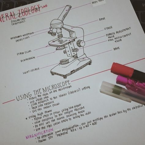 Microscope, General Zoology Bio Diagrams Aesthetic, Microscope Notes Biology, Microscope Notes, Microscope Drawing, Respect Pictures, Gcse Biology, Biology Diagrams, August Wallpaper, Biology Classroom