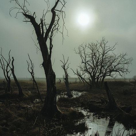 The landscape captures a dreary and haunting feeling with barren trees silhouetted against a foggy backdrop. A narrow stream meanders through the scene under a dimly visible sun, creating a stark contrast with the gloomy atmosphere. The mists add a layer of mystery to the area, emphasizing the solitude and eerie silence prevalent in the setting. Gloomy Landscape, Barren Landscape, Misty Landscape, Foggy Day, Dark Landscape, Light Cyan, Money Book, Purple Christmas, Landscape Features