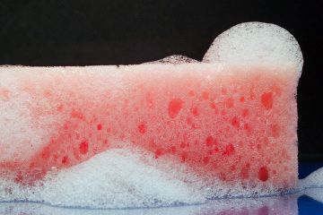 What's cleaner, your toilet bowl or your kitchen sponge? You can get rid of all kinds of mess in your house with the various cleaning tips on this site. Happy cleaning! Sponge Aesthetic, Colin Core, Cleancore Aesthetic, Clean Core, Pet Regression, Dirty Room, Jelly Slime, Clean Toilet Bowl, A Aesthetic