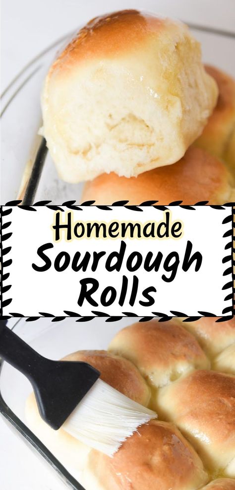 No dinner is complete without rolls! This recipe will help you whip up fluffy, sourdough rolls. Sourdough Dinner Rolls, Recipe Using Sourdough Starter, Sourdough Rolls, Yeast Starter, Sourdough Starter Discard Recipe, Homemade Sourdough Bread, Homemade Rolls, Homemade Sourdough, Sourdough Starter Recipe