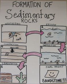 Formation of Sedimentary rocks anchor chart Sedimentary Rock Activities, Earth Science Lessons, Science Anchor Charts, Rock Cycle, 7th Grade Science, 8th Grade Science, Third Grade Science, Earth And Space Science, 4th Grade Science