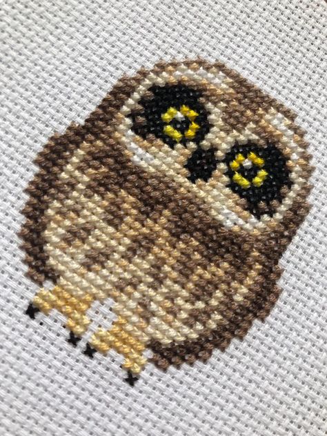 [FO] just finished my very first cross stitch project! I had such a lovely time stitching this Hawaiian Short-eared Owl pattern from La Selva Design (Etsy). Cross Stitch Owl Pattern, Owl Cross Stitch Patterns Free, Owl Pixel Art, Small Animal Cross Stitch, Small Cross Stitch Patterns Free, Cross Stitch Patterns Free Easy, Cross Stitch Patterns Free Disney, Cross Stitch Birds, Bird Cross Stitch Pattern