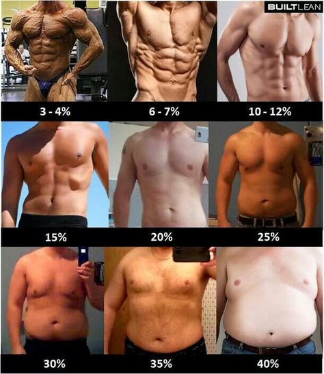 Body type male Body Building Motivation, Body Fat Percentage Men, Sixpack Workout, Workout Bauch, Nutrition Sportive, Body Fat Percentage, 남자 몸, Bodybuilding Workout, Health Knowledge