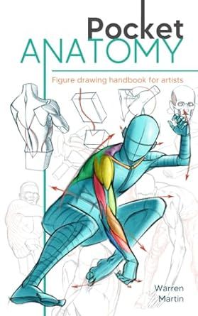 Learn To Draw Anatomy, Anatomy Figure Drawing, How To Draw Human, Beginner Drawing Lessons, Human Anatomy For Artists, Human Figure Sketches, Draw Human, Human Anatomy Drawing, Best Anime Drawings