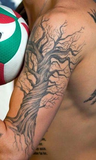 Arm Tree Tattoo Men, Blossom Tree Tattoo Men, Tree Tattoo Designs Men Half Sleeves, Oak Tree Tattoo Men, Shoulder Tree Tattoo, Best Shoulder Tattoos Men Ideas, Tree Tattoo Shoulder, Poison Tree Tattoo, Ethan Tattoo