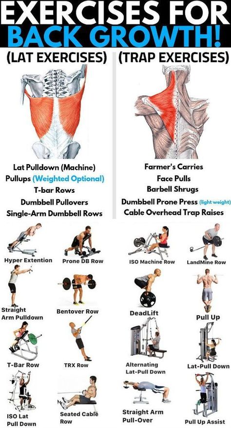 Back Exercises, Exercises For Back, Fitness Studio Training, Gym Antrenmanları, Weight Training Workouts, Workout Chart, Back And Biceps, Gym Workout Tips, Back Workout