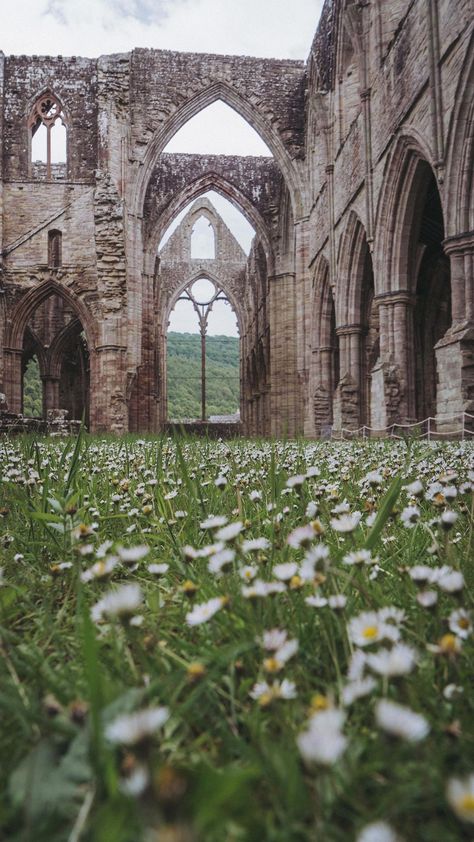 monalogue on Instagram: Tintern Abbey full of daisies 🌼🍃 We stopped by when we were in the area a couple of weeks ago. Wouldn’t it look beautiful full of a… Abbey Core Aesthetic, Abigail Aesthetic, Abbey Core, Abbey Aesthetic, Abigail Core, Abby Aesthetic, Feelings Board, College Collage, Tintern Abbey