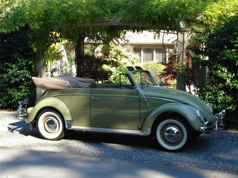 1959 Volkswagen Beetle Convertible, 1962 Volkswagen Beetle, Vw Bug Convertible Vintage, Vintage Beatle Car, 1969 Volkswagen Beetle, 1968 Volkswagen Beetle, Volkswagen Beetle Convertible Aesthetic, Convertable Beetle Volkswagen, Volts Wagon Beetle