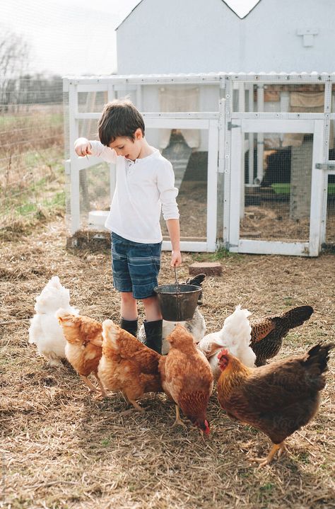 A young boy feeding and collecting eggs from the chicken coop Collecting Eggs, Tiffani Thiessen, Future Farms, Farm Kids, Farm Lifestyle, Lovely Pictures, Farm Photo, Farms Living, Down On The Farm