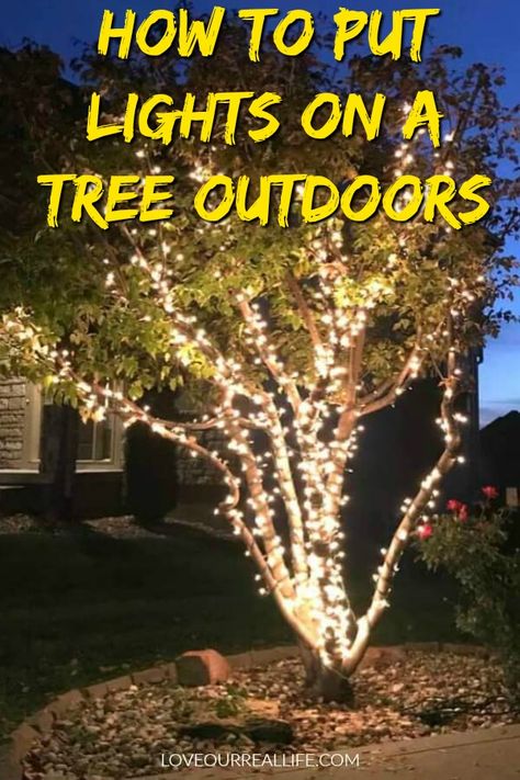 Learn the best way for outdoor trees to look great with string lights. Perfect for decorating the exterior of your home for Christmas or just to add ambiance to your outdoor patio space. #outsidechristmasdecor #stringlights #wrapatreewithlights Natal, Christmas Lights Outdoor Trees, Outdoor Tree Lighting, Christmas Lights Outside, Christmas Light Installation, Hanging Christmas Lights, Christmas Cozy, Wrapped Lights, Outdoor Christmas Tree