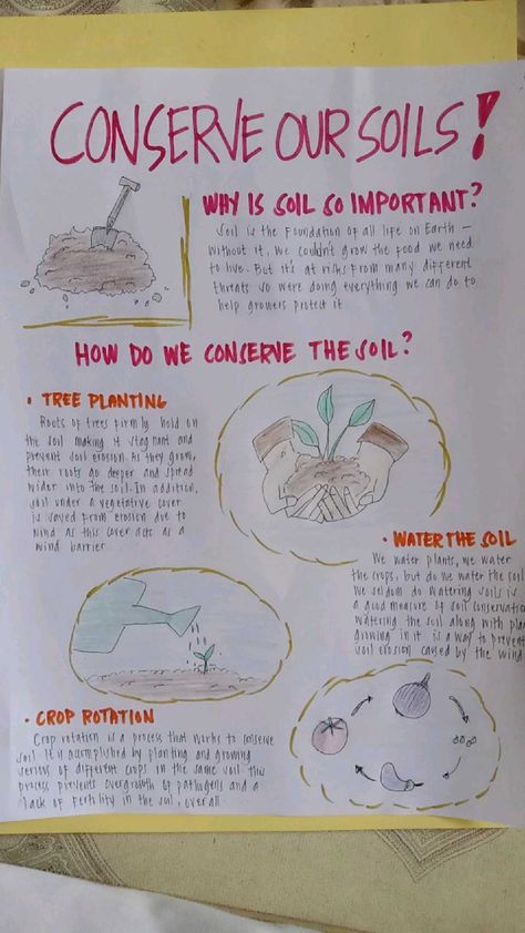 Soil Pollution Poster, Soil Conservation Poster, Soil Conservation Poster Ideas, Soil Pollution, Elephant Toothpaste, Soil Conservation, Paper Projects, Third Grade, Pollution