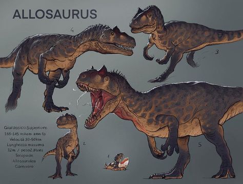 Cool Dinosaur Art, Paleo Art Dinosaurs, Allosaurus Drawing, The Isle Dinosaurs, Allosaurus Art, Dinosaur Paleoart, Dinosaur Concept Art, Paleoart Dinosaurs, Dinosaur Oc