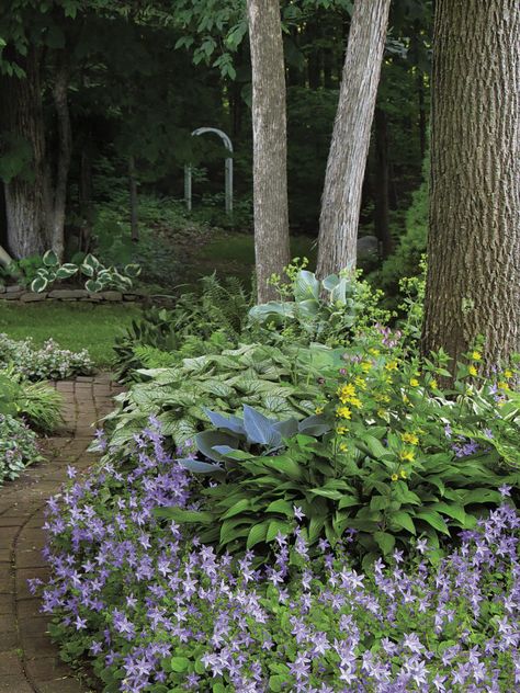 Simple Garden Design Ideas, Woodland Garden Ideas Enchanted Forest, Woodland Garden Design, Backyard Path, Wooded Backyard Landscape, Garden Combinations, Bangkok Cafe, Messy Garden, Shade Gardening