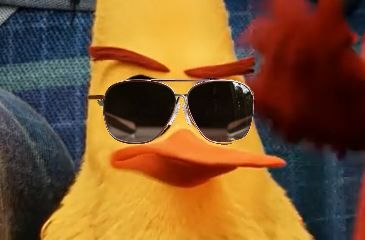 If Chuck had glasses... Chuck Angry Birds Icon, Angry Birds Chuck, Angry Bird Movie, Chuck Angry Birds, Angry Birds Hatchlings, Red From Angry Birds, Angry Birds Movie, Angry Birds Party, Angry Birds