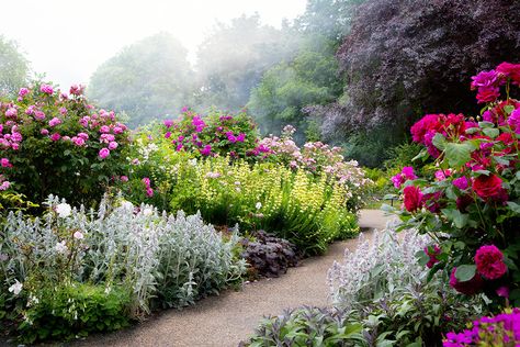 Learn more about the latest Victoria Vignettes, Diamond in the Rough, by Jane Goodger. English Garden Design, Cottage Garden Design, English Cottage Garden, Garden Shrubs, Buy Plants, Gorgeous Gardens, Flowers Perennials, Garden Cottage, English Garden