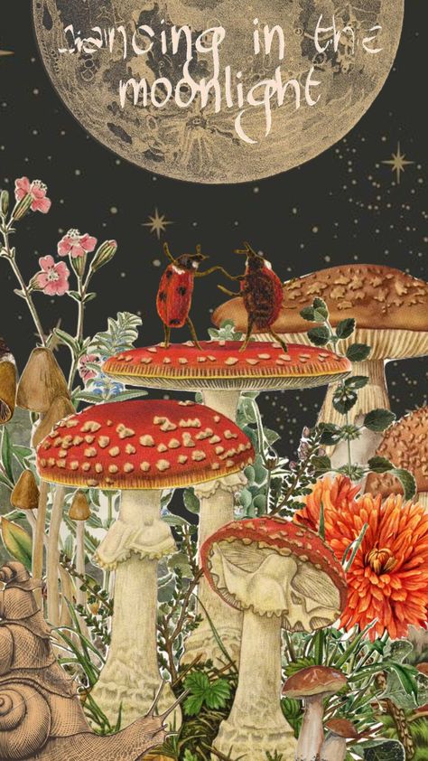 Mushroom Aesthetic Art, Cottagecore Images, Mushrooms Cottagecore, Cottagecore Aesthetic Wallpaper, Fungi Illustration, Fairy Garden Art, Mushroom Core, Mushroom Cottagecore, Folklore Art