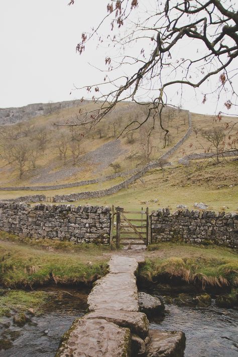 Yorkshire Dales Aesthetic, Yorkshire Aesthetic, Homemade Puppy Food, English Countryside Aesthetic, Malham Cove, Yorkshire Countryside, Yorkshire Landscape, Countryside Aesthetic, English Landscape