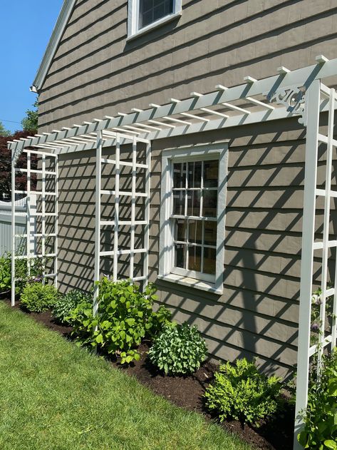 Front Of House Trellis Ideas, Flower Trellis Against House, Diy Trellis Over Window, Trellis Over Driveway, Trellis In Front Of House, Over Window Trellis, Blank Side Of House Ideas, Front Porch Trellis Ideas, Arbor On Side Of House