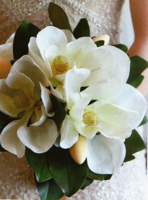 Magnolia Wedding Bouquet Magnolias Wedding Bouquet, Magnolia Bouquet, Bouquet Images, Magnolia Wedding, Sweet Magnolia, Southern Bride, Magnolia Flower, Southern Wedding, Bride Bouquets