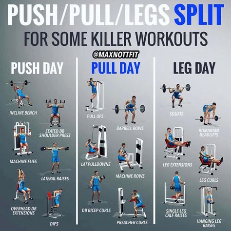 Rob Allen on Instagram: “🔥Workout Split🔥 . For more fitness/nutrition info follow @roballenfitness . Thought I’d share this awesome workout routine by my friend…” Inner Leg Workout, Push Pull Legs Workout, Weight Training Schedule, Push Pull Workout, Push Pull Legs, Push Workout, Bolesti Chrbta, Push Day, Gym Antrenmanları