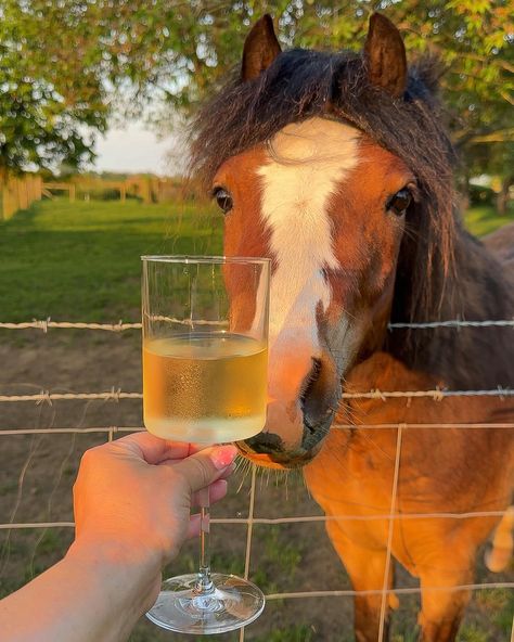 late spring evenings at home & a cold glass of wine 🥂🍊🌷🌳💌 #countryside #countryhome #goldenhour #horses #farmanimals #spring #home #cosyhome #pinterestaesthetic Horses At Home, Big Horses, Late Spring, Village Life, Glass Of Wine, Spring Home, May 13, Home A, Country Life