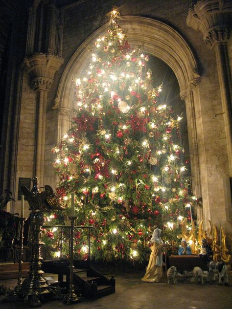 Ely Cathedral. Christmas 2011 Christmas Cathedral, Cathedral Christmas, Ely Cathedral, Life Manifestation, Gothic Christmas, Architecture Concept, A Child Is Born, 2024 Christmas, Christmas Snow