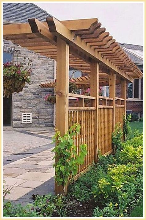 Pergolas - Be Awesome - Stop Looking! Get all your needs met from one of the leading online retailers. Privacy Fence Landscaping, Pergola Design, Backyard Privacy, Garden Screening, Backyard Pergola, Outdoor Privacy, Fence Landscaping, Have Inspiration, Pergola Plans