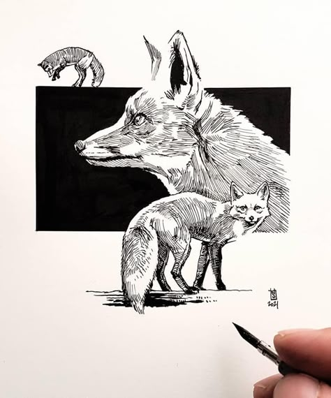 Liner Art Drawing, Inktober Sketches, Stylo Art, Word Tattoo Ideas, Word Tattoo, Fox Drawing, Black And White Art Drawing, Sketch Inspiration, Fox Art