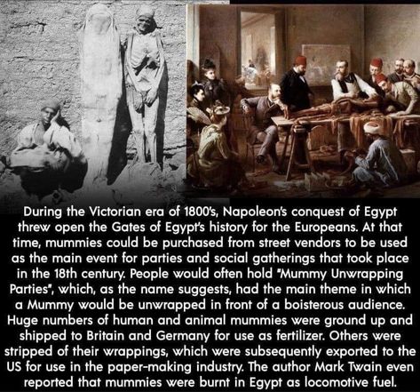 Historical Facts Creepy, Urban Legends Stories, Learning History, Creepy History, Studying Memes, Egyptian Mummies, Street Vendors, Creepy Facts, History Facts Interesting