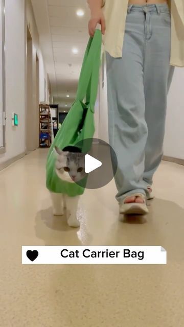 Nio Pets on Instagram: "Travel in style with our Cat Carrier Bag! 🐾✈️ Designed for comfort and convenience, this spacious bag is the purrfect way to take your feline friend on adventures. Safe, snug, and stylish – because every journey deserves a touch of feline flair! 😺👜 #CatTravel #PawsomeAdventures" Cat Carry Bag, Diy Cat Grooming Bag, Cat Travel Bag, Cat Carrying Bag, Cat In A Bag, Cat Carrier Bag, 2024 Travel, Cat Proofing, Cat Leash